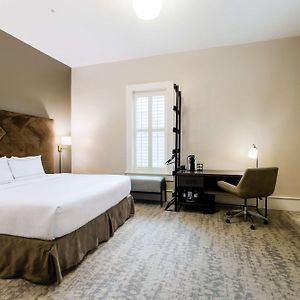 One-Bedroom King Suite